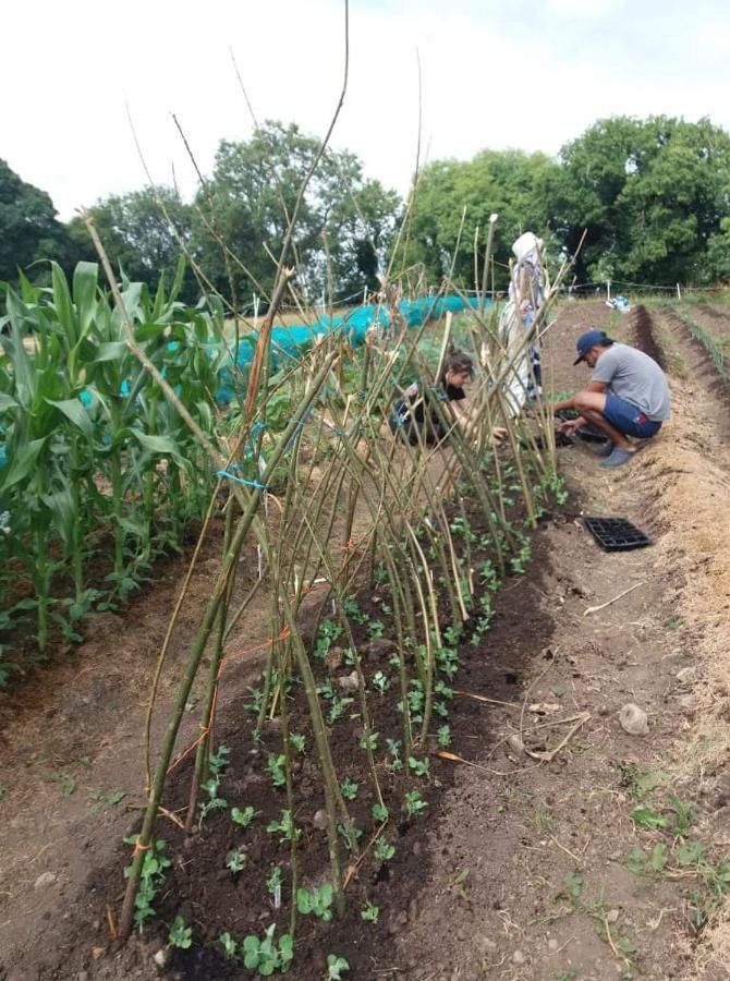 Гостевой дом Castletownmoor Clinic & Permaculture Farm Келс-16